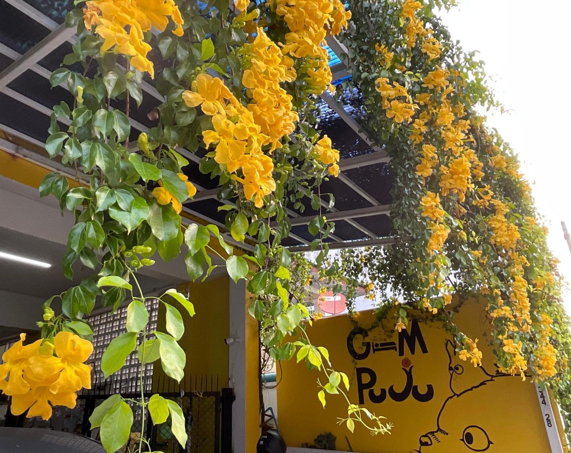Gumpuju คำปู้จู้ Hotell Chiang Mai Eksteriør bilde
